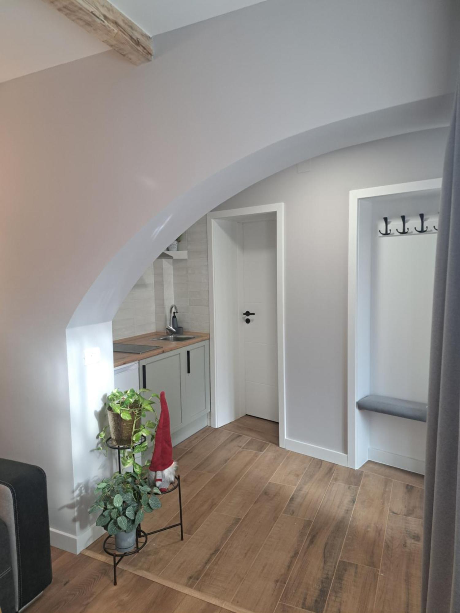 Casa Ileana Centrul Vechi Brasov Apartment Exterior photo